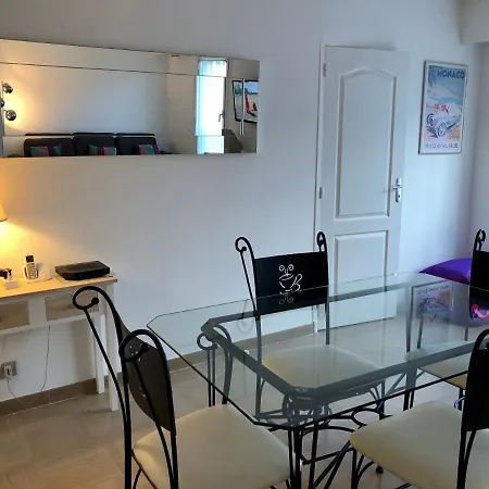 2 Pieces Climatise - Superbe Piscine & Wifi- Coeur De Ville - Schneider - 500 M Rue D'antibes & Plages